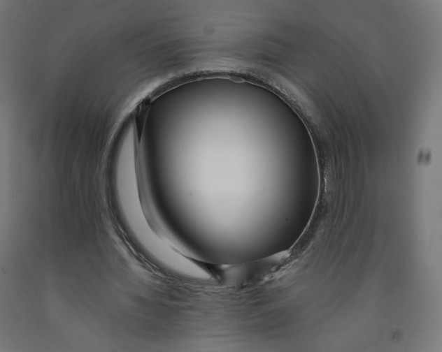 X0000091880436200710031744