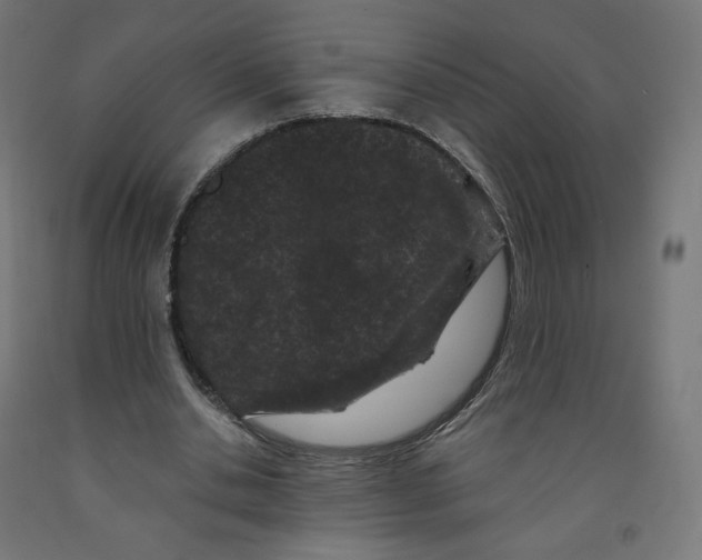 X0000091880438200710031744