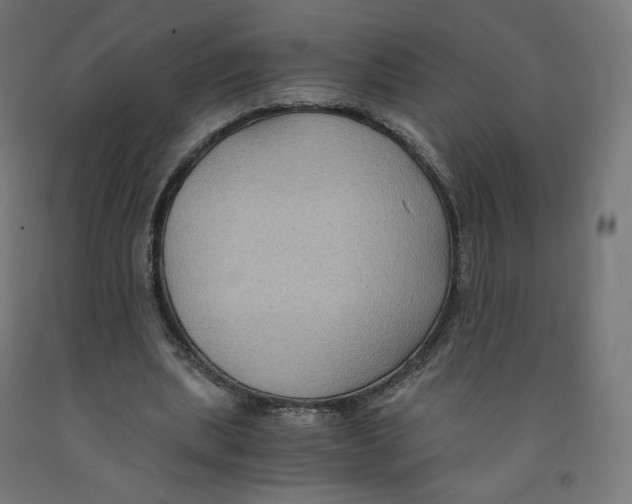 X0000091880439200710031745