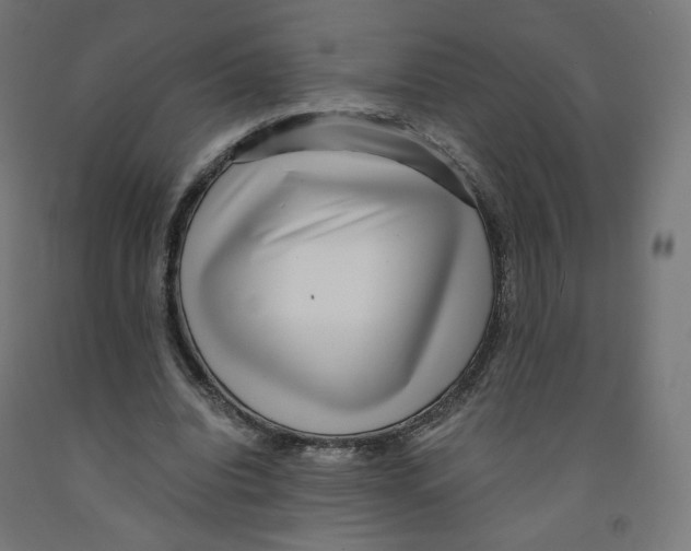 X0000091880440200710031745