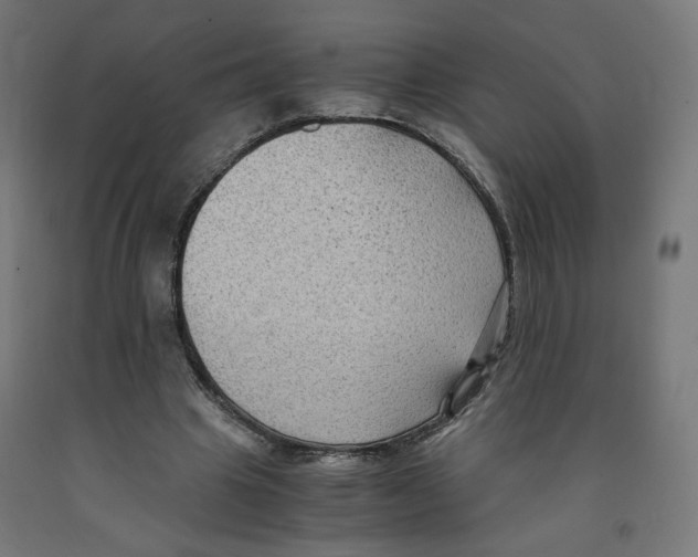 X0000091880441200710031745