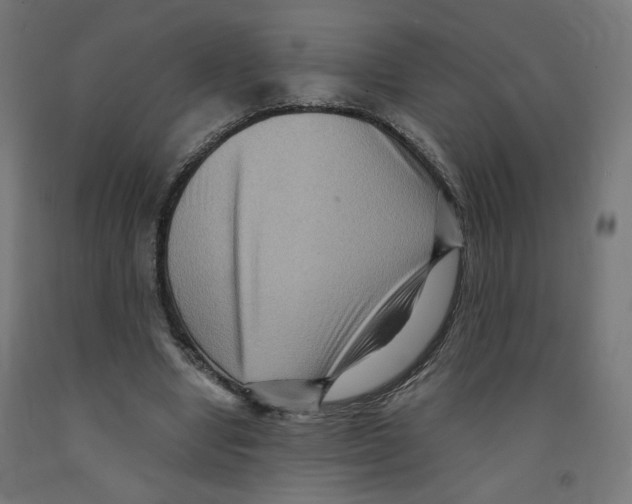 X0000091880442200710031745