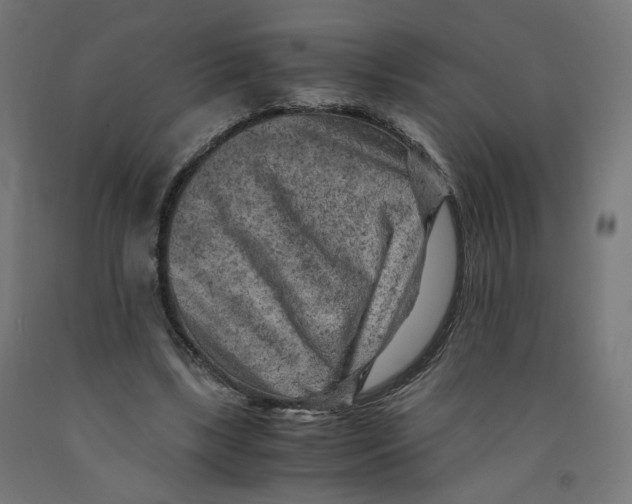 X0000091880443200710031745