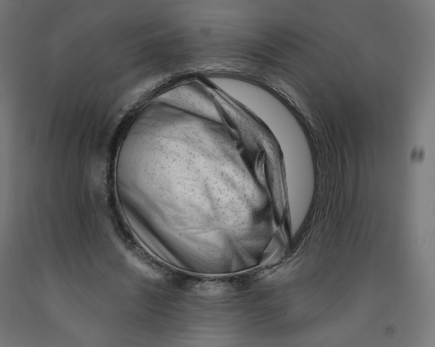 X0000091880444200710031745