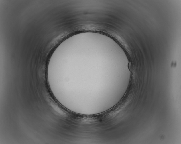 X0000091880445200710031745