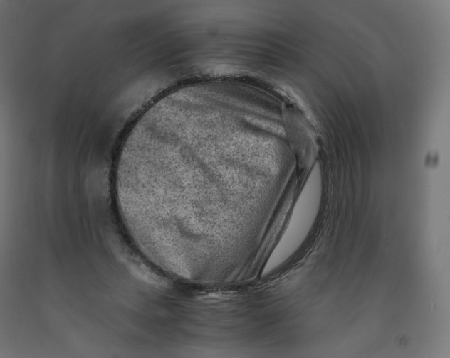 X0000091880447200710031745