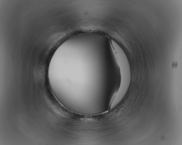 X0000091880448200710031745