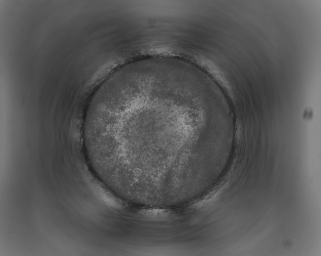 X0000091880449200710031745