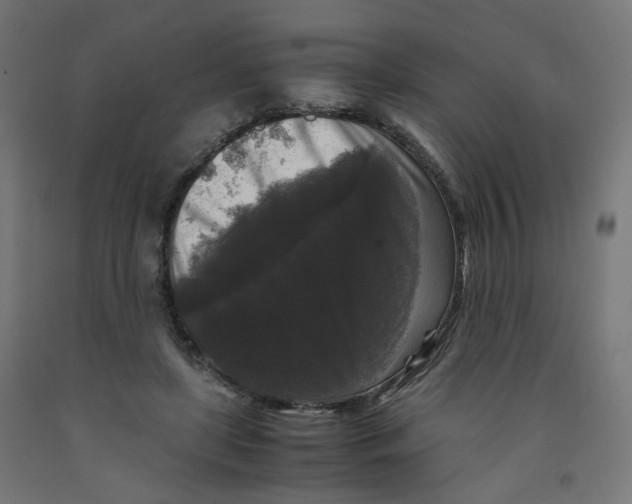 X0000091880451200710031745