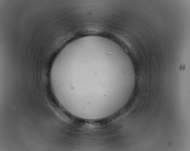 X0000091880455200710031745