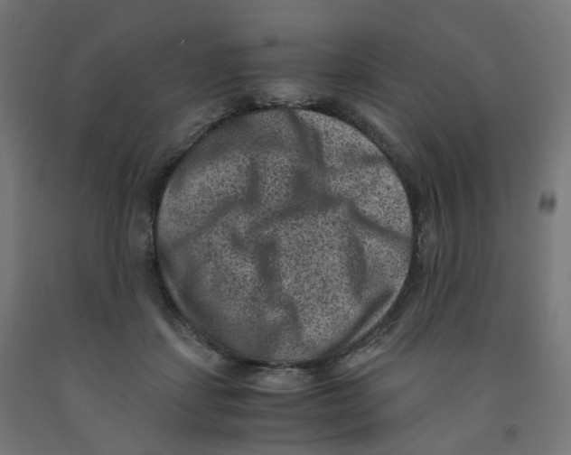 X0000091880459200710031745