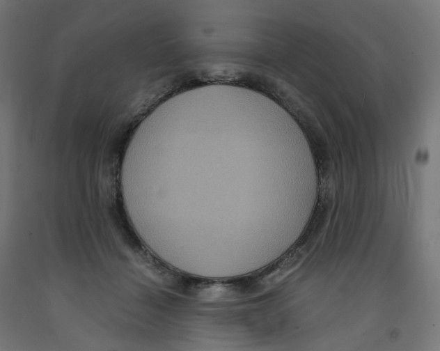 X0000091880460200710031745