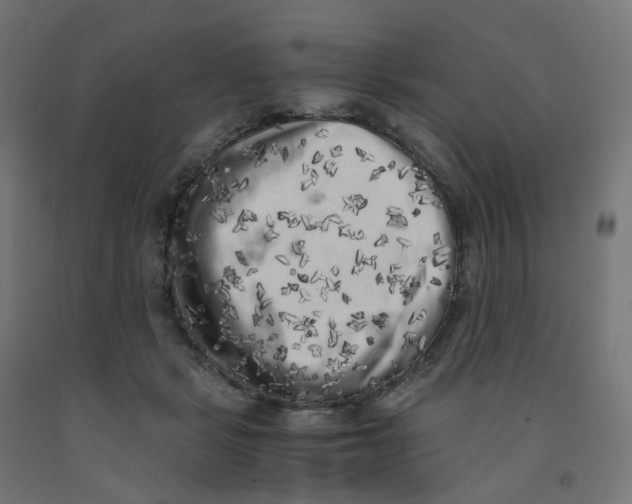 X0000091880461200710031745