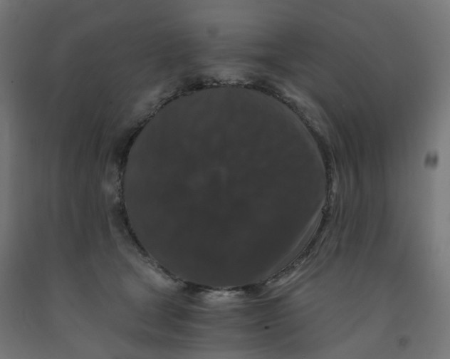 X0000091880465200710031745