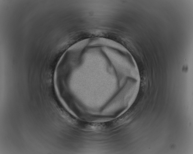 X0000091880466200710031745