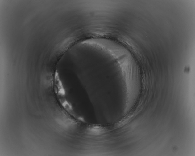 X0000091880467200710031745