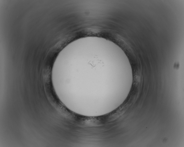 X0000091880468200710031745