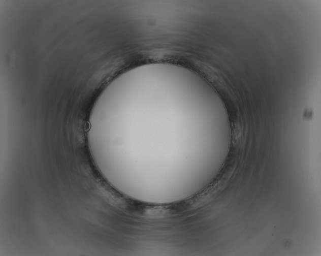 X0000091880470200710031745