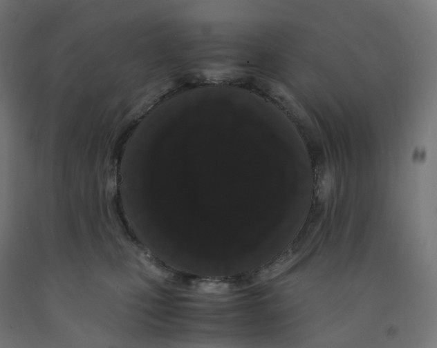 X0000091880471200710031745