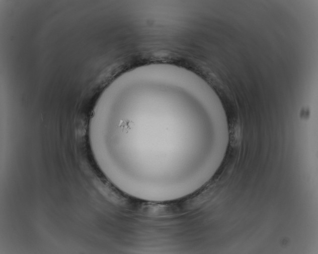 X0000091880472200710031745