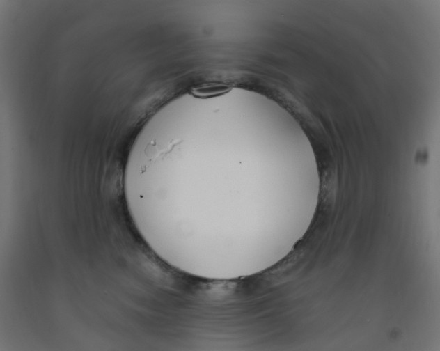 X0000091880474200710031745