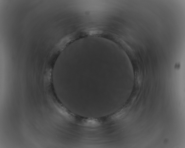 X0000091880475200710031745