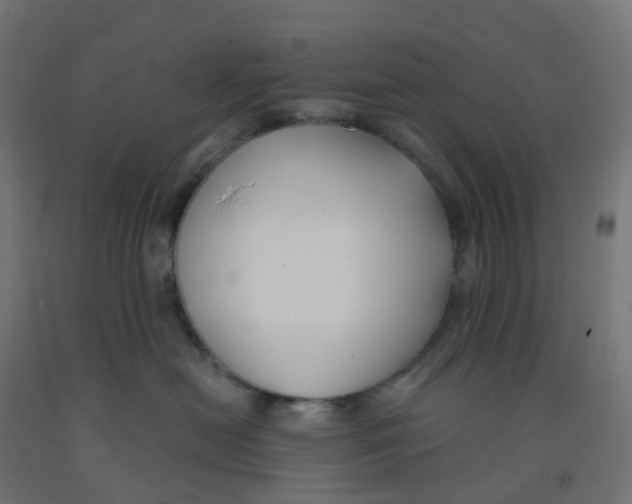 X0000091880478200710031745