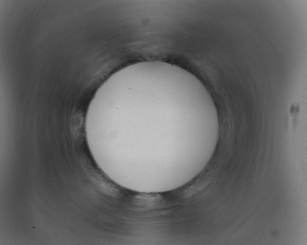 X0000091880480200710031745