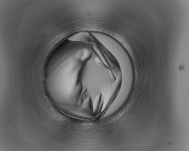 X0000091880481200710031744