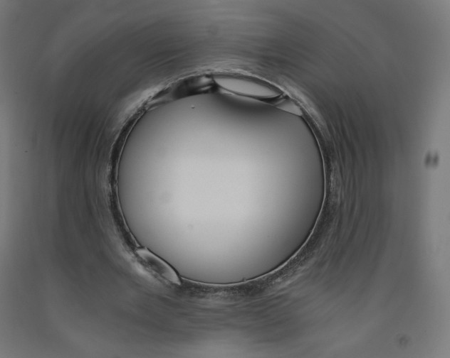 X0000091880485200710031744