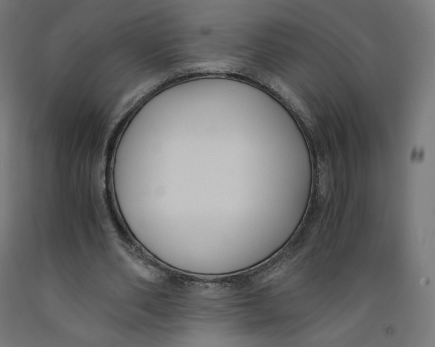 X0000091880486200710031744