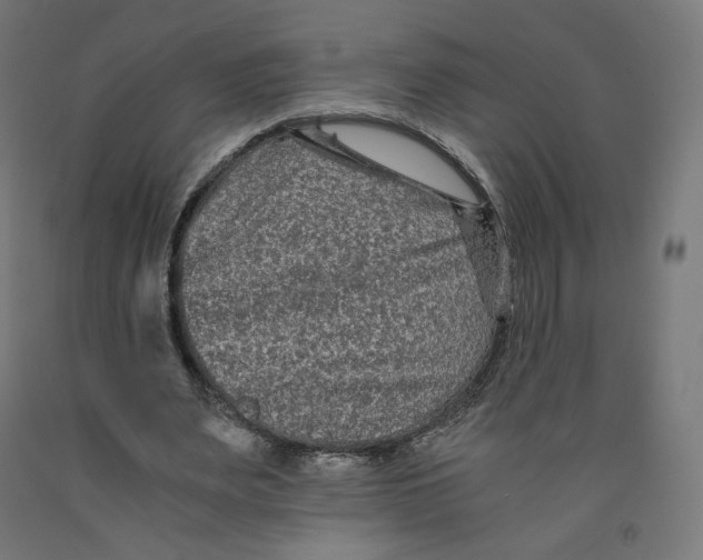 X0000091880487200710031744