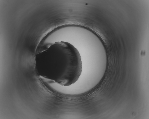 X0000091880488200710031744