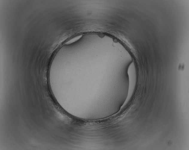 X0000091880489200710031744