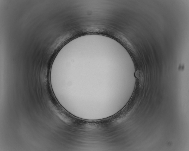 X0000091880490200710031744