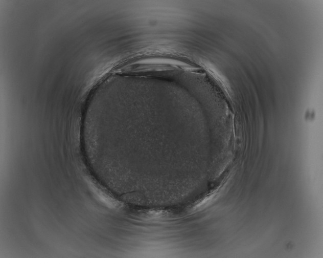 X0000091880493200710031744