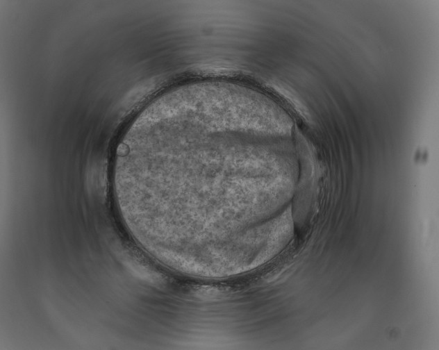 X0000091880494200710031744