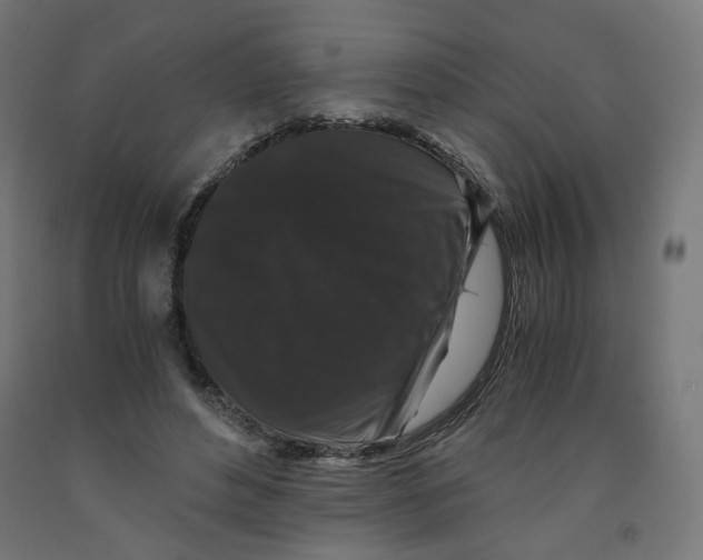 X0000091880496200710031744