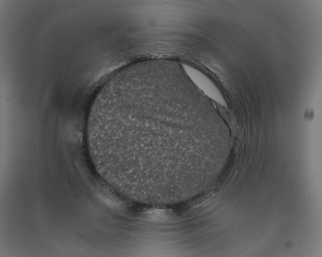 X0000091880499200710031744