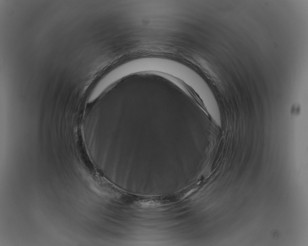 X0000091880500200710031744