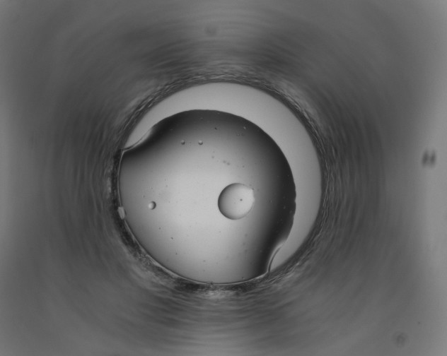 X0000091880501200710031744