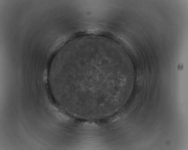 X0000091880502200710031744