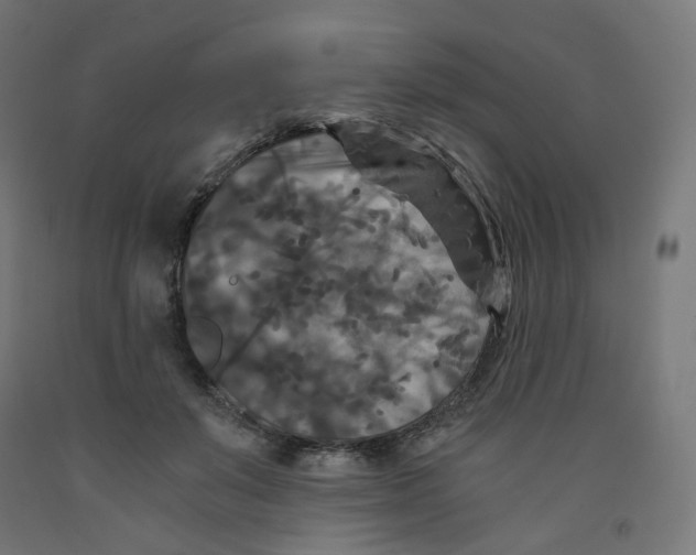 X0000091880503200710031744