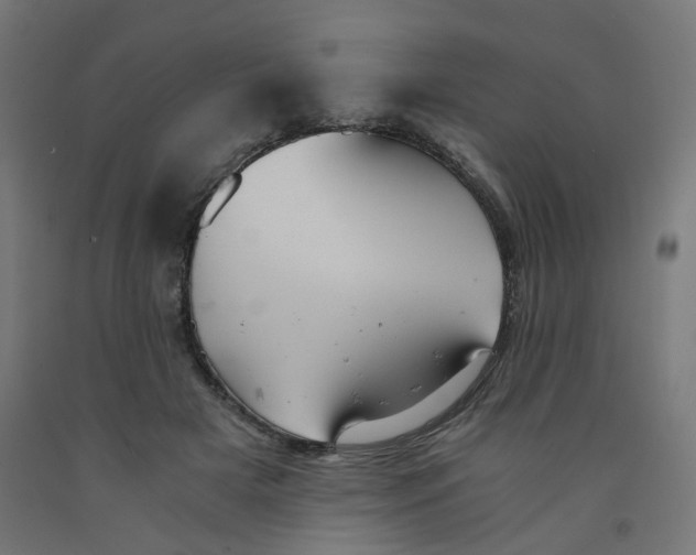 X0000091880505200710031744