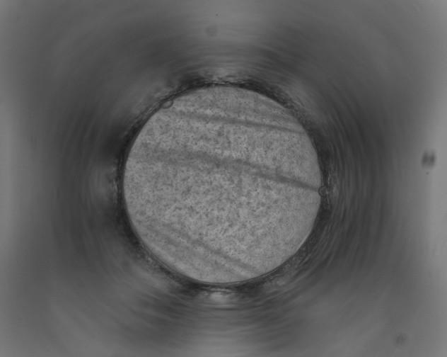 X0000091880506200710031744