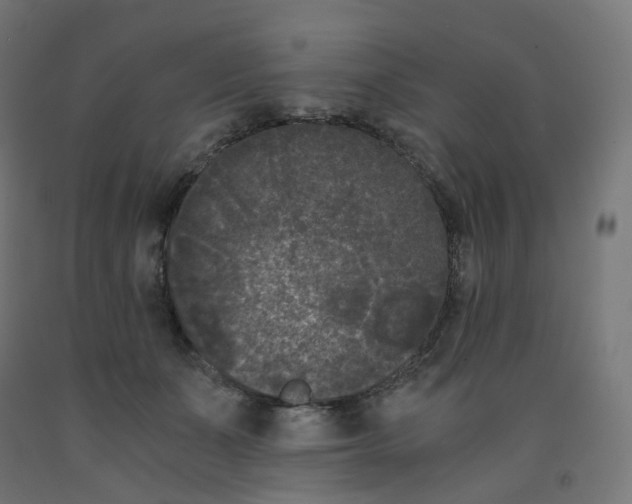 X0000091880511200710031744