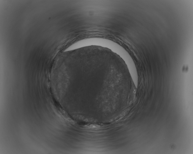 X0000091880512200710031744