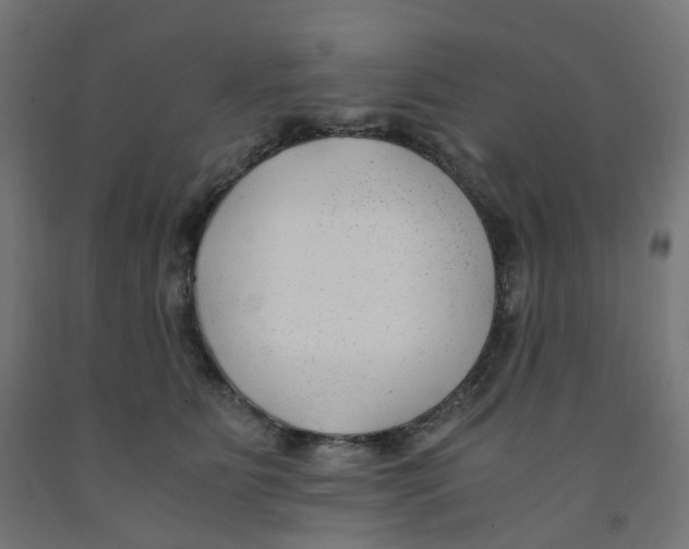 X0000091880515200710031744