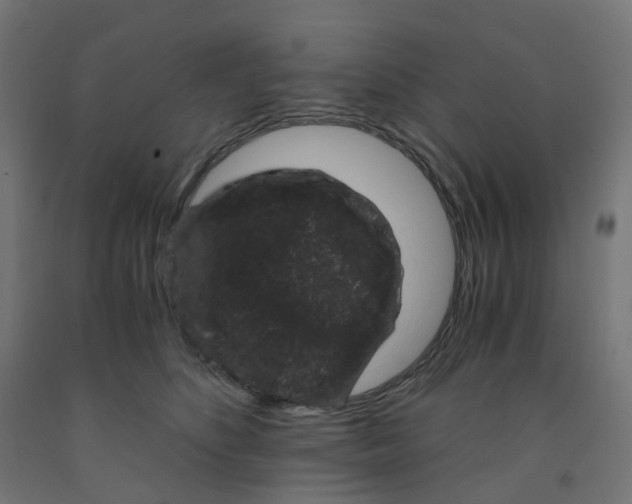 X0000091880516200710031744