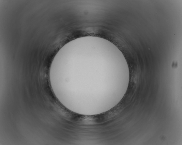 X0000091880518200710031744